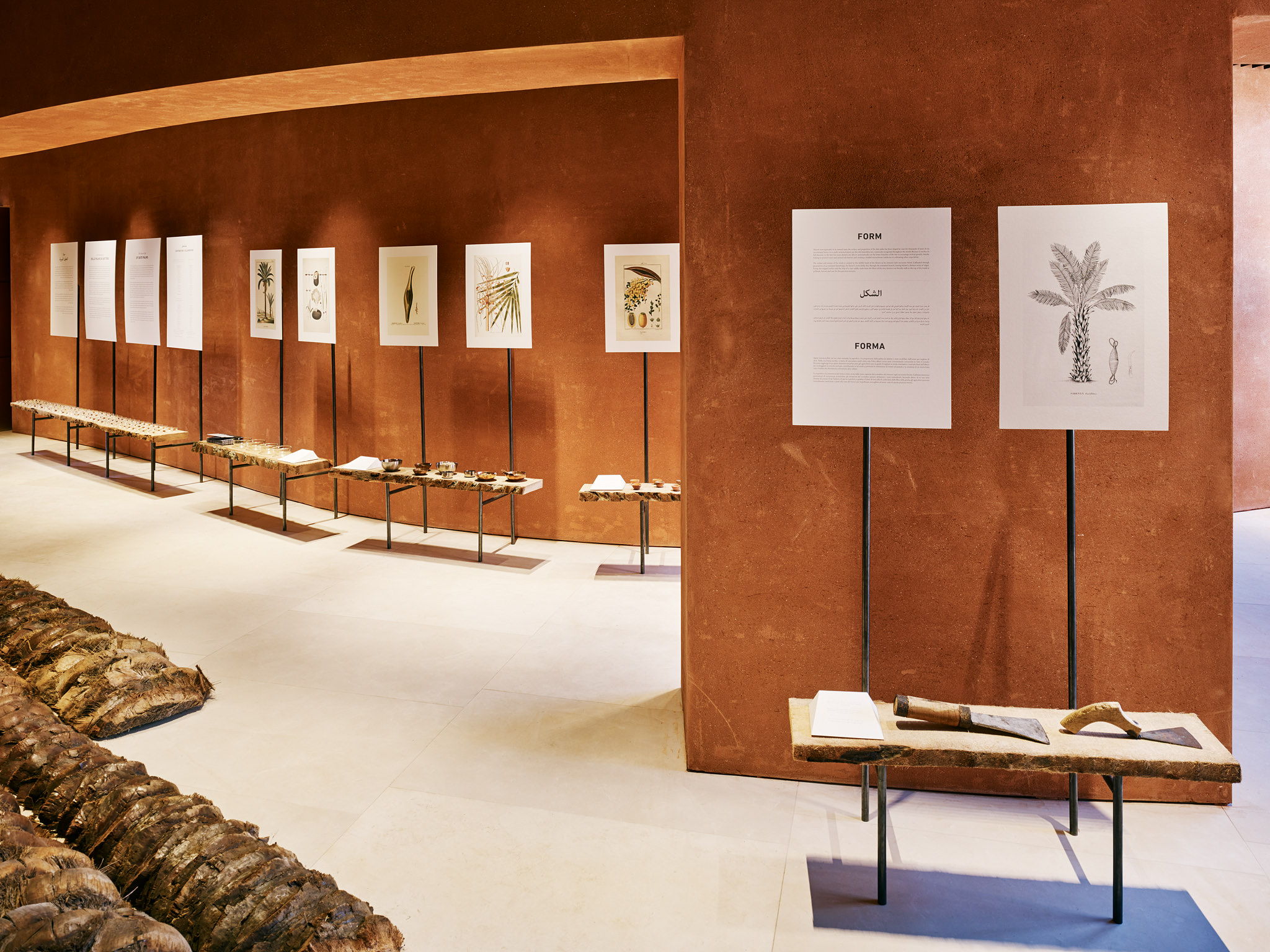 E15547 Alpa 050413 SCREEN